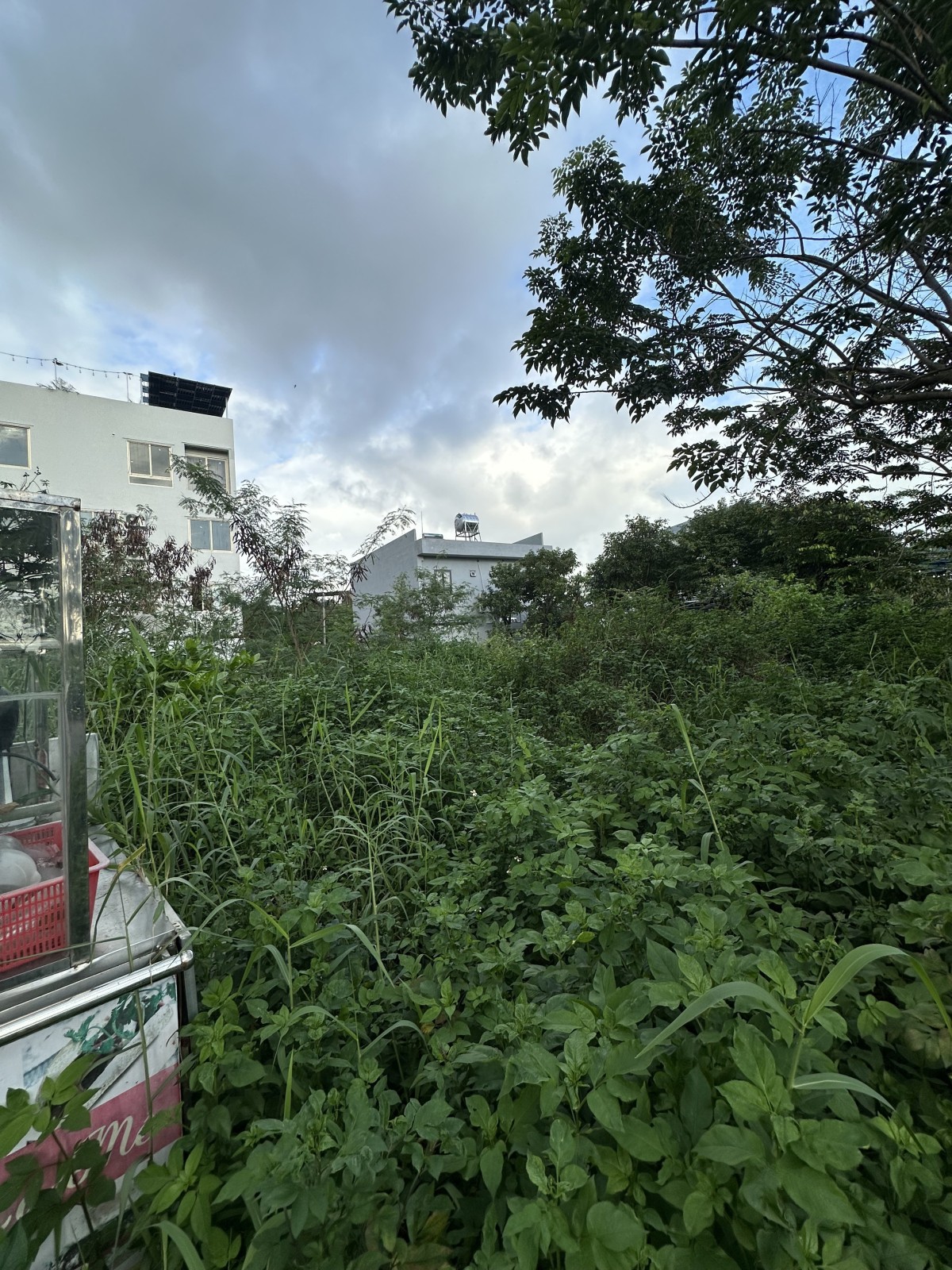 3bf00430a00485783fd4834b645df1a9