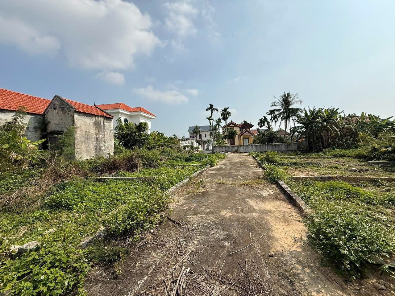 456813613584727983395