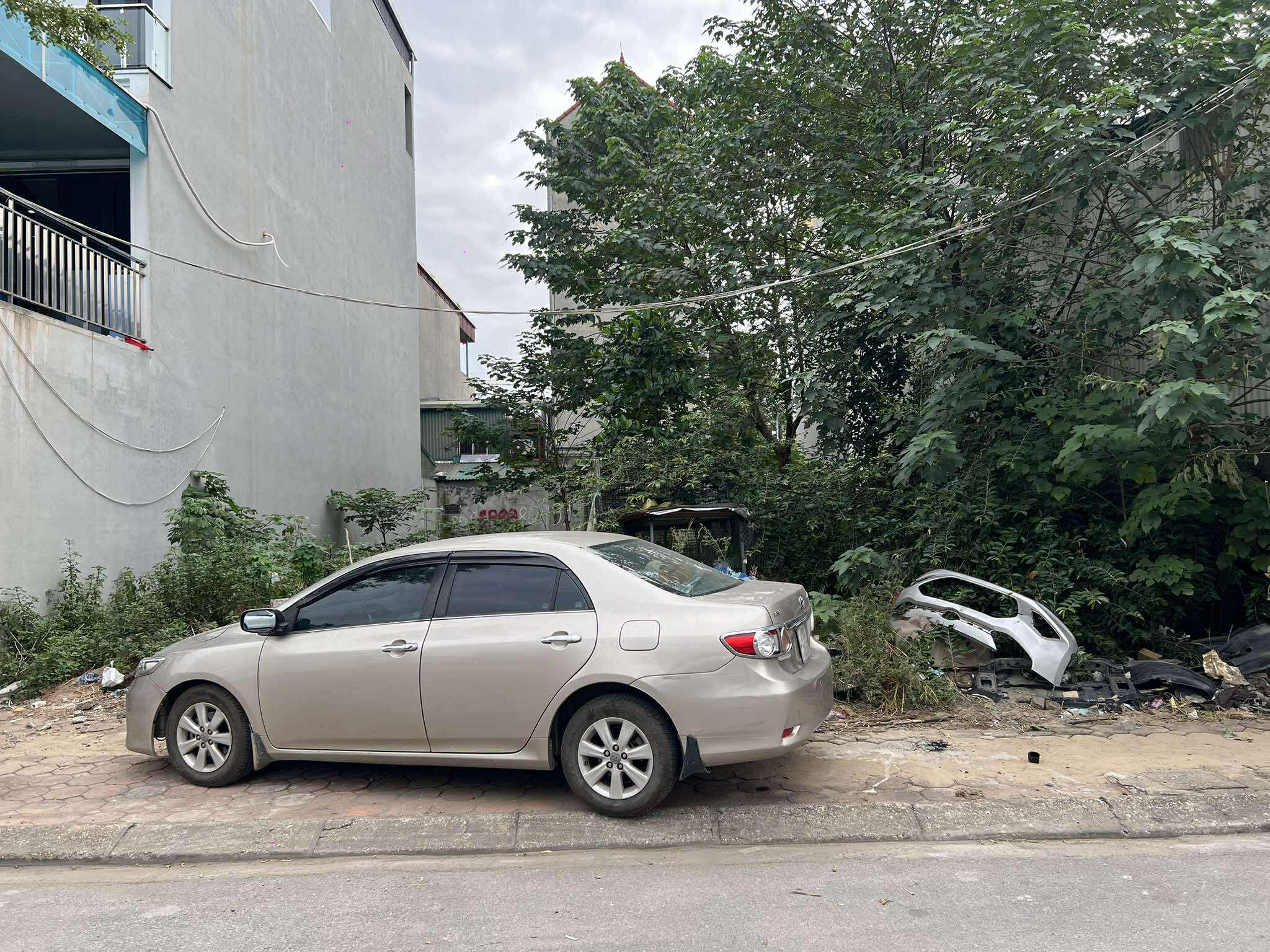 558043178_1233916228570295_8410801888930422736_n