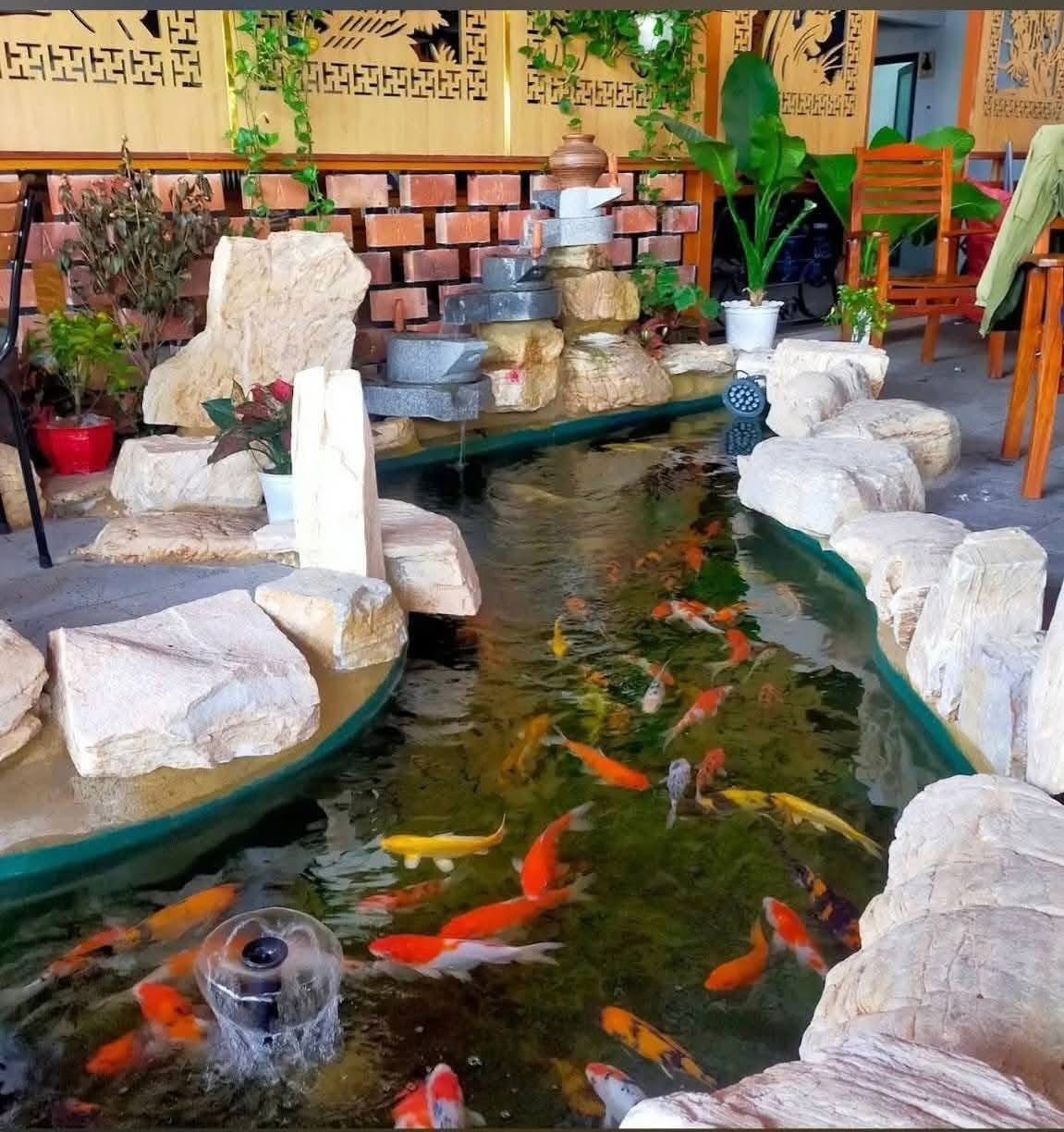 593716860_1576978503435524_6780964252097797195_n