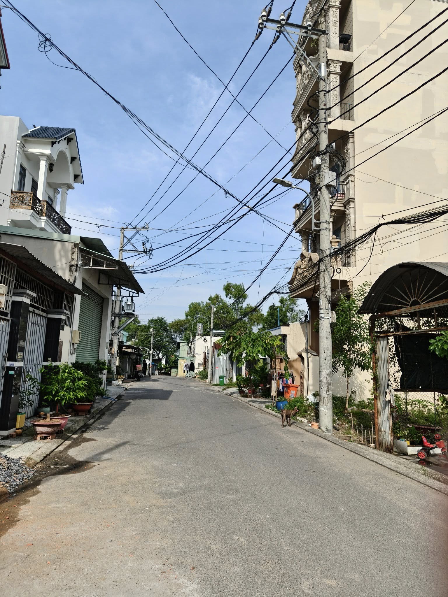 595138137_3436229429885948_5058657657697522849_n