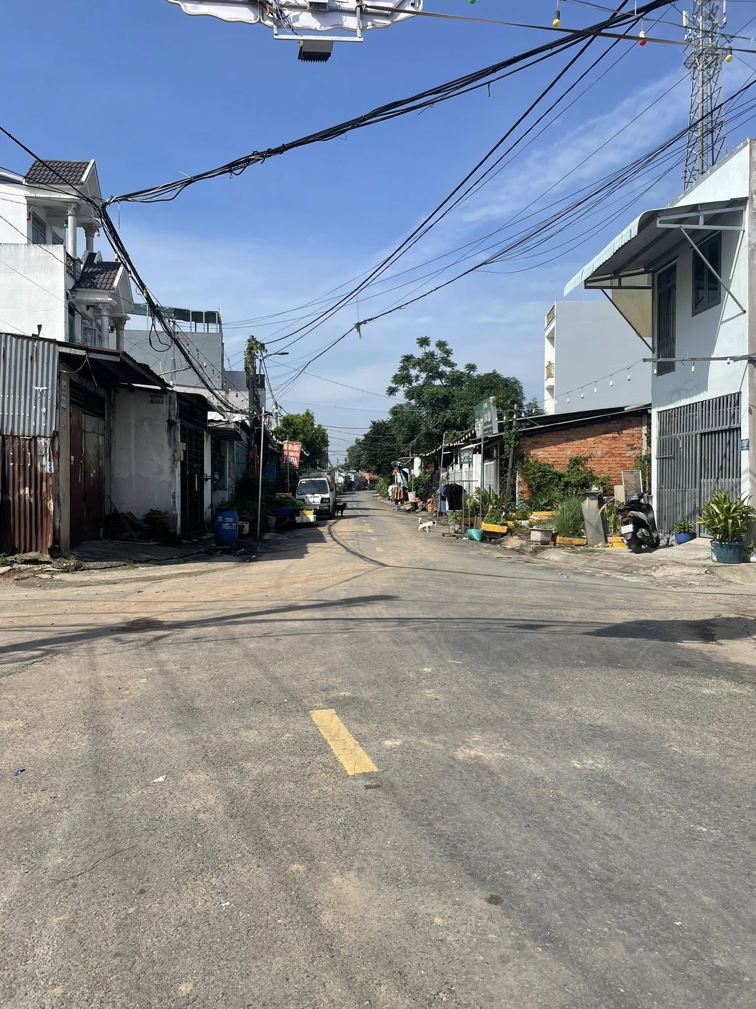 599503498_1395681835363312_3083296872164630726_n