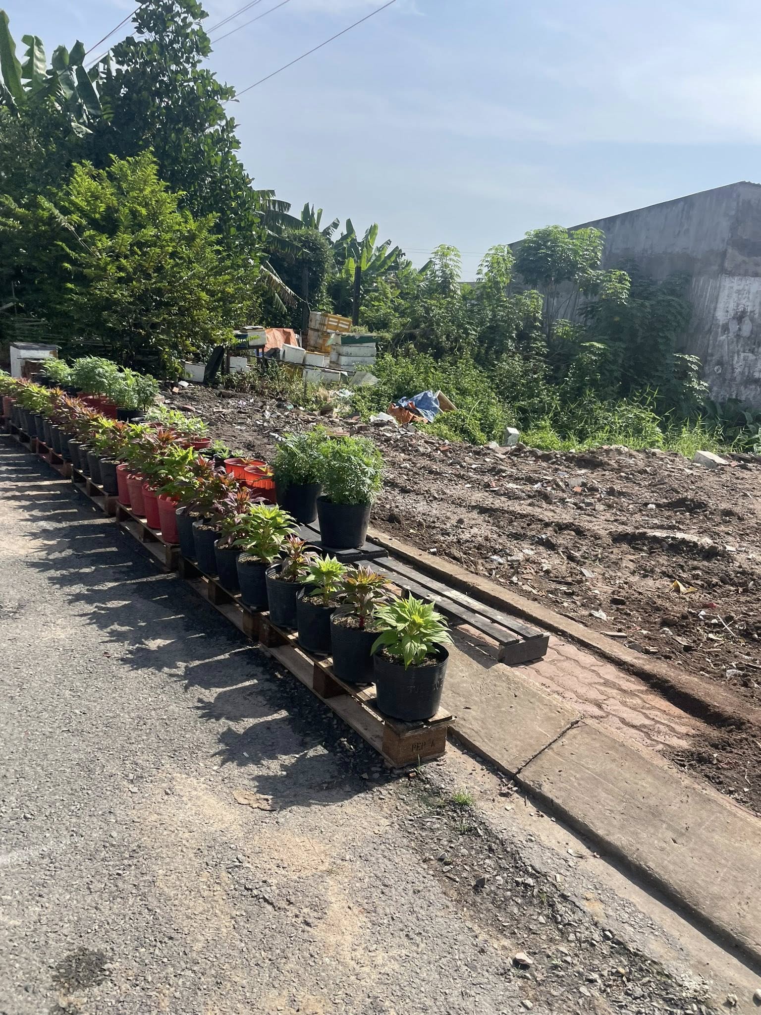 599750318_1395681968696632_3625214239091924870_n