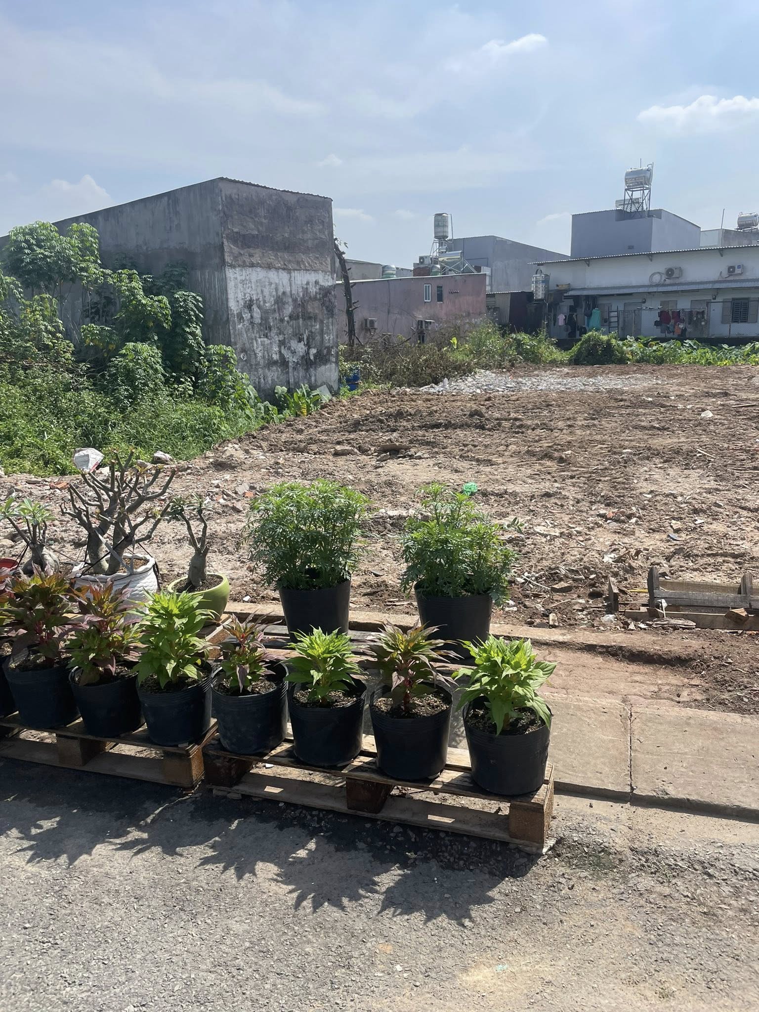 605124469_1402505408014288_880087570084740352_n