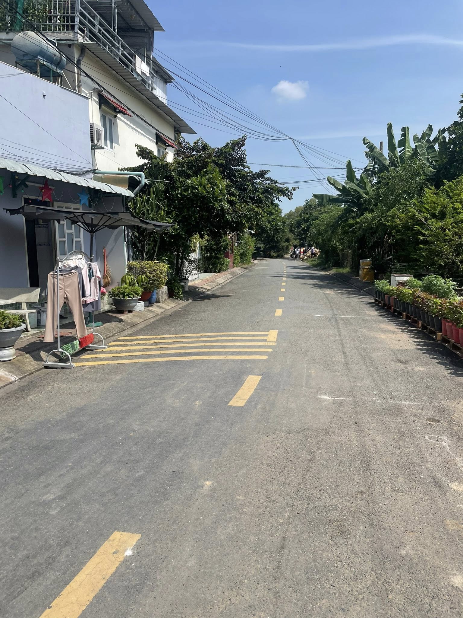 606379906_1402508704680625_2625394954341795684_n