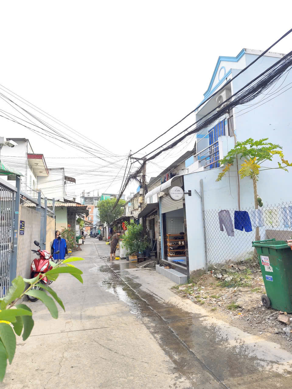 7c95ac57d7385866012913