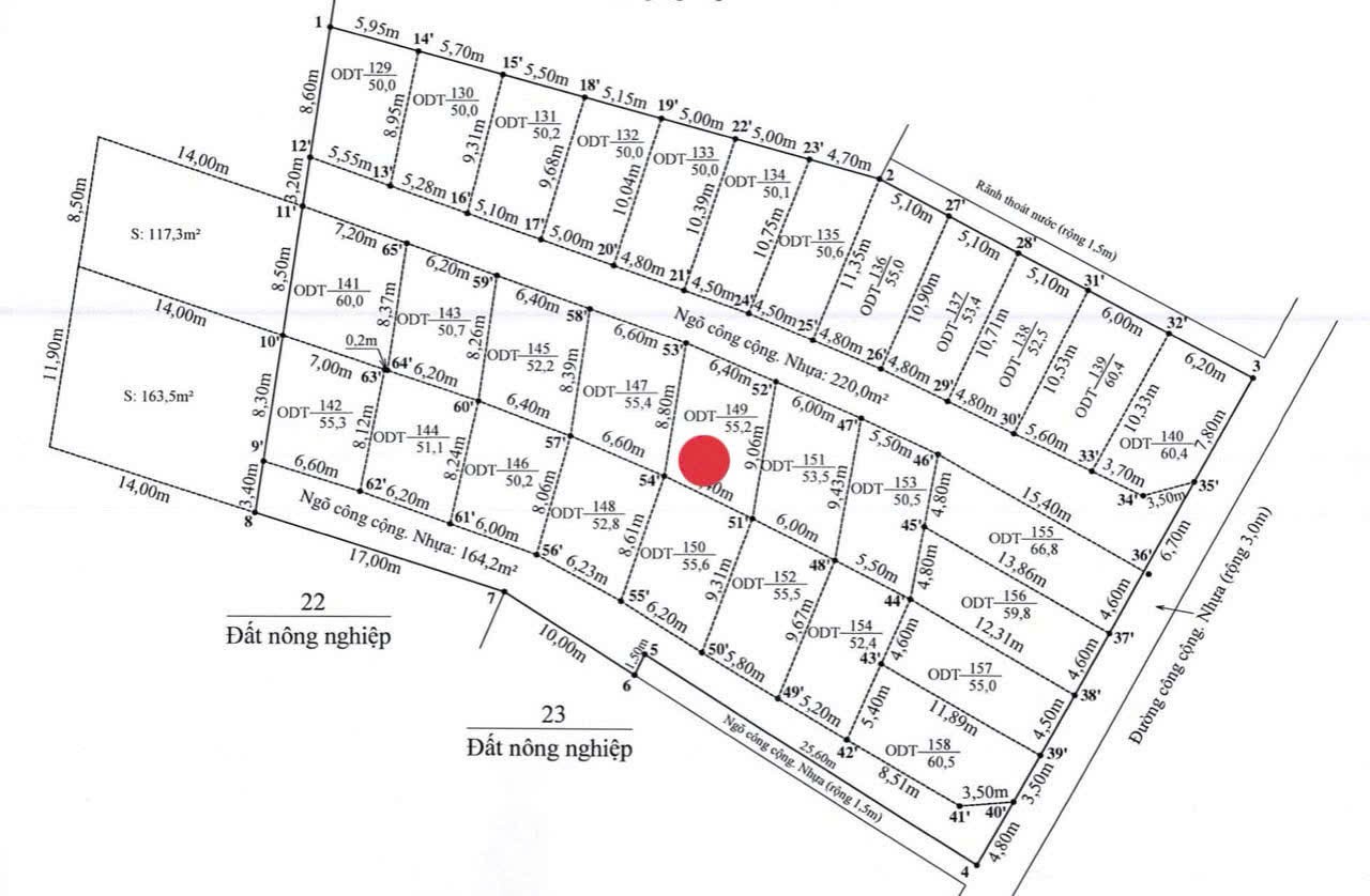 81443806071012525416