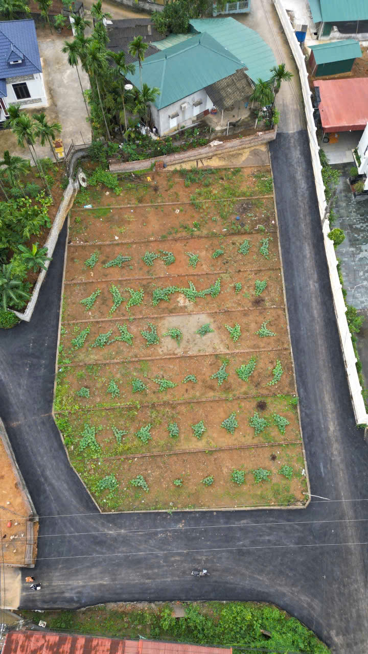 d70a7aedd27d5f23066c24