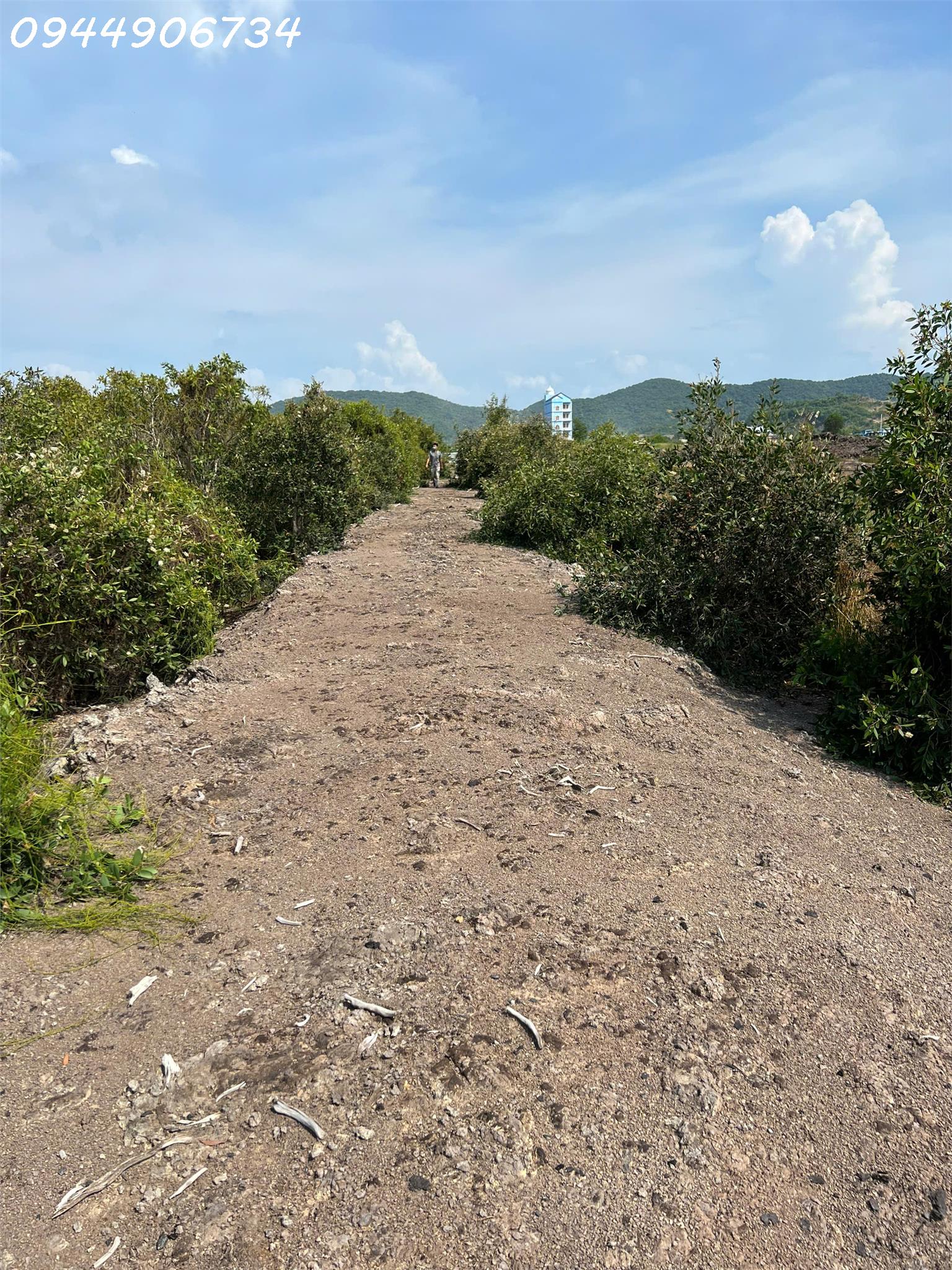 e772d8e6-6e5a-45c5-8a8b-3698262c84e4