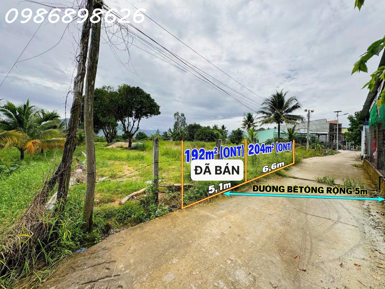 ff05b34e-9072-497f-a75e-5a0d45edaf3a