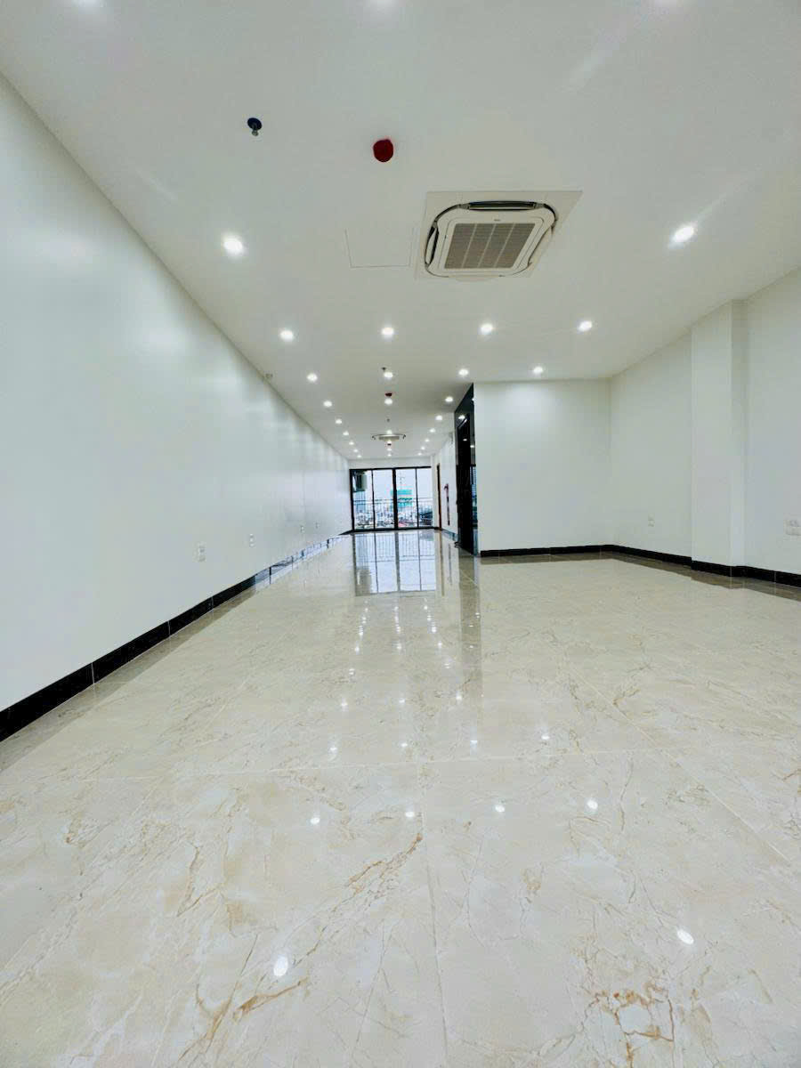 gen-h-z7282234501471_019ff61ae26e2e378a180b93ace974e2