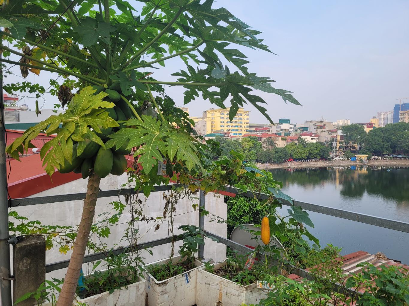 u1c-67888EB0-mbhuvzfu_25_10