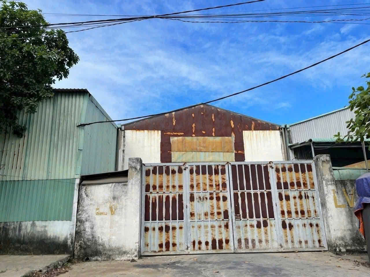 z1756539478741_028_6cf667c931146100ff090caeea19de66