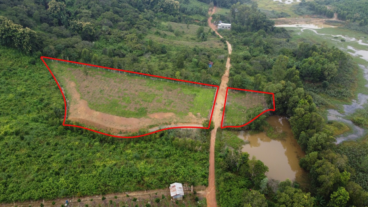 z3711994769811_e3ded1f9b9f4cbae3931d840633b6718