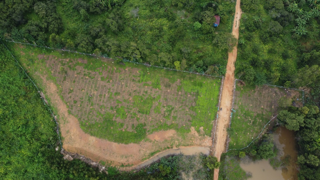 z3711994772000_a2e2f150c0ec5bcb0cb27dd7c8f1c07d