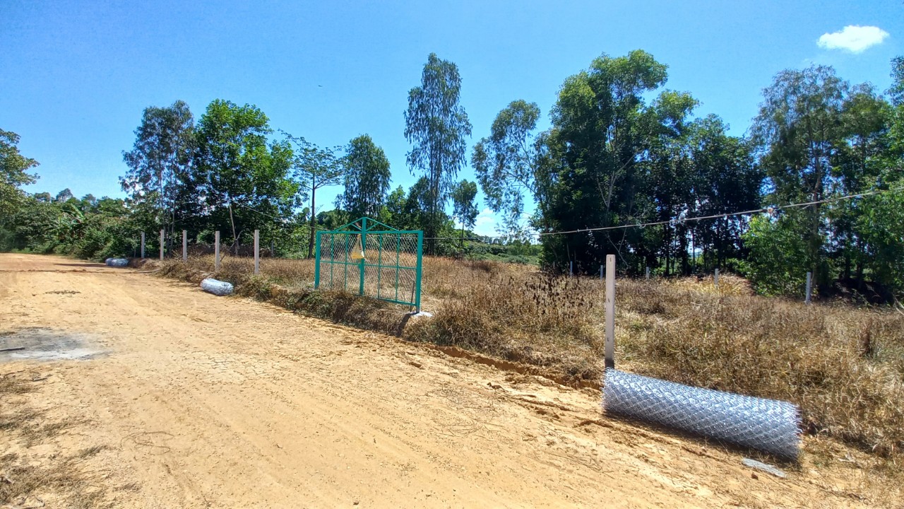 z3711994785088_b63ca799ccde822a778a949a6756d5f2