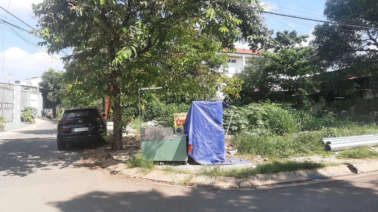 z3882437041126_0531f9aa2b7c59711822a123908e67b8