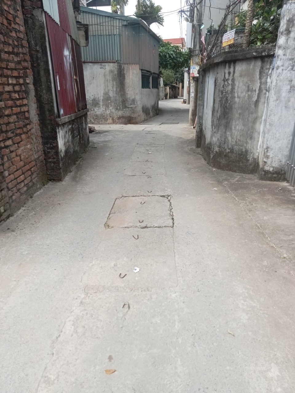 z4315487261699_0fc57e6e48f56ada0c4e5047d3dd0299