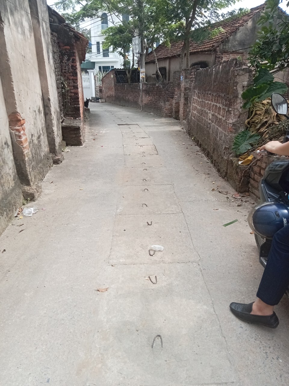 z4315487277122_4e53810681110a9de9812f18b6a4b87a