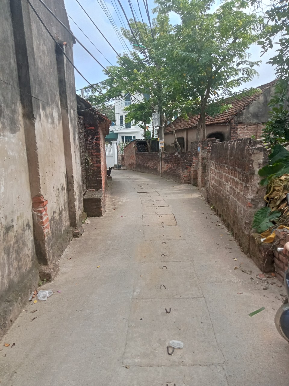 z4315487281652_3105d892b483c71dd58e1e390003c50b