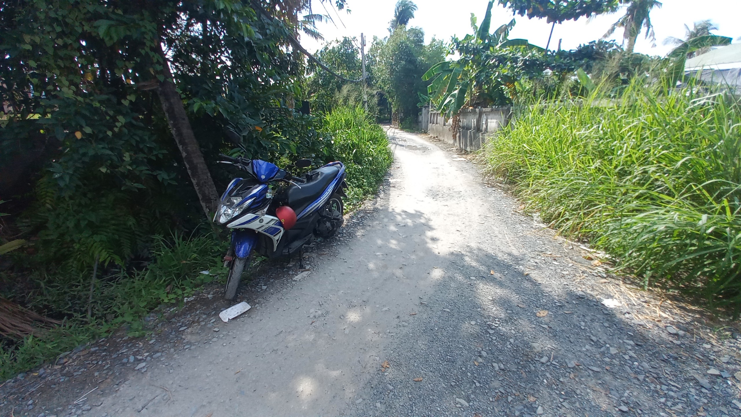 z4370326643757_7bb454d8eb42c2a4c54729e474714327