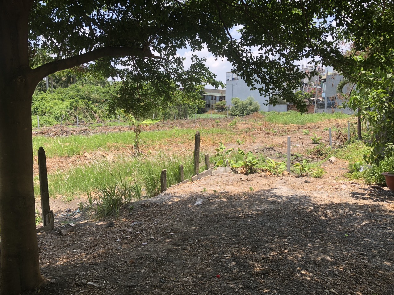 z5365264672315_a6995e019c246c17d4d219f98811b4b6