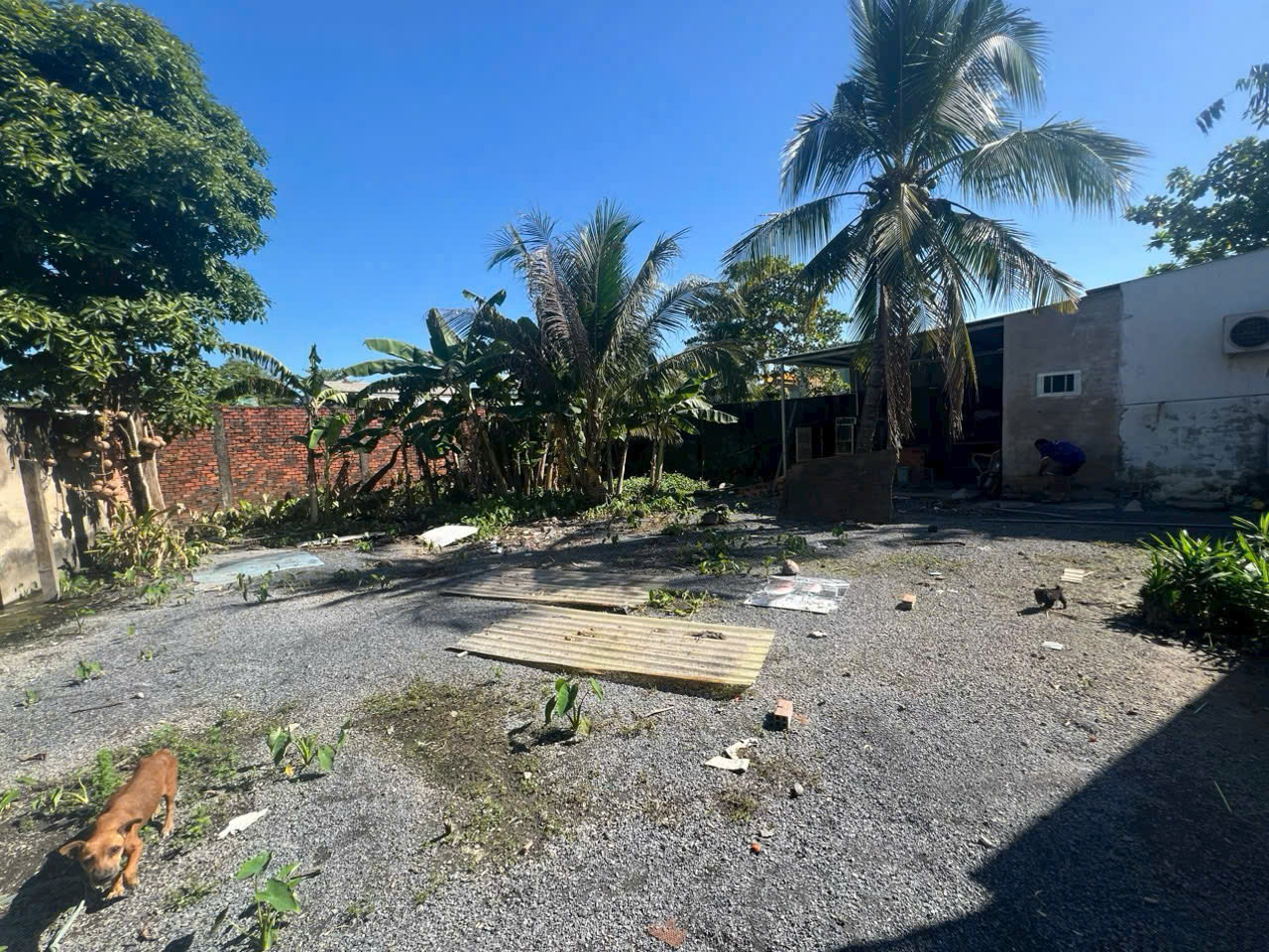 z6079304766748_cd88ecd639c9d417194119387e15f563