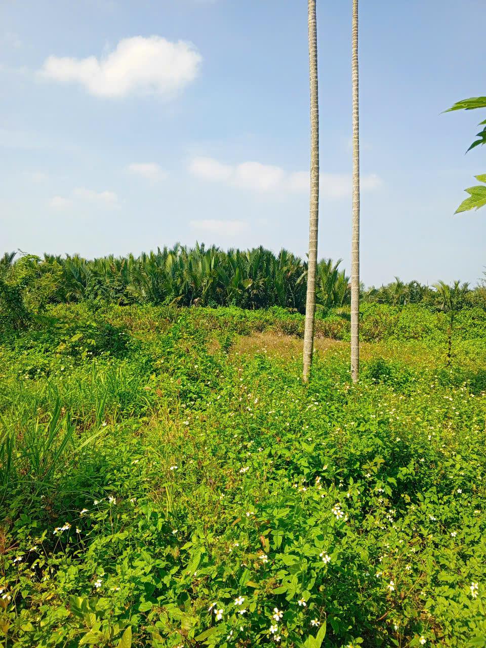 z6292727552579_fe0ebe26725a523cf083acadd4bc2517