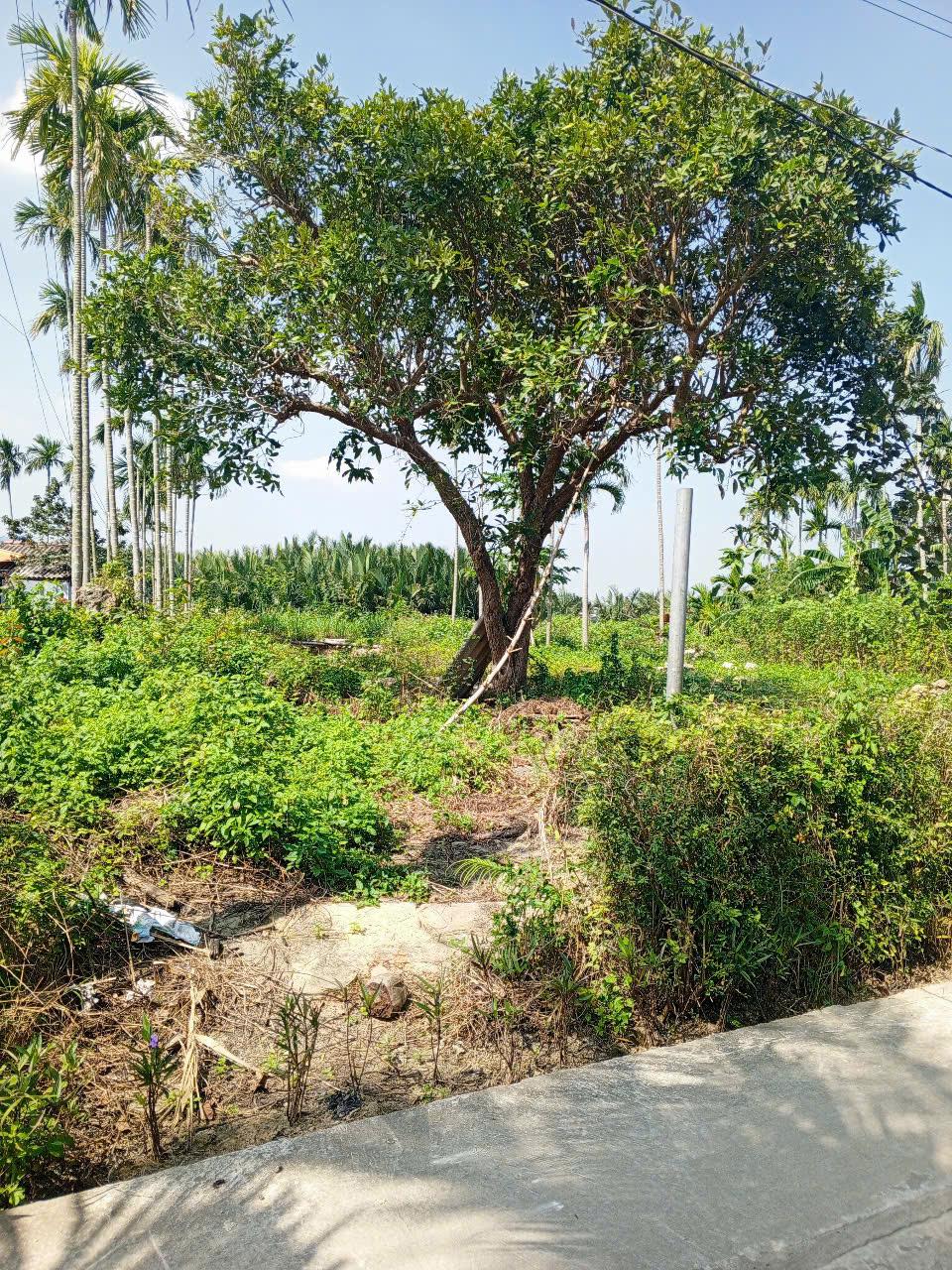 z6292727552580_bd7b6cc4705395074cc853ba11ae509c