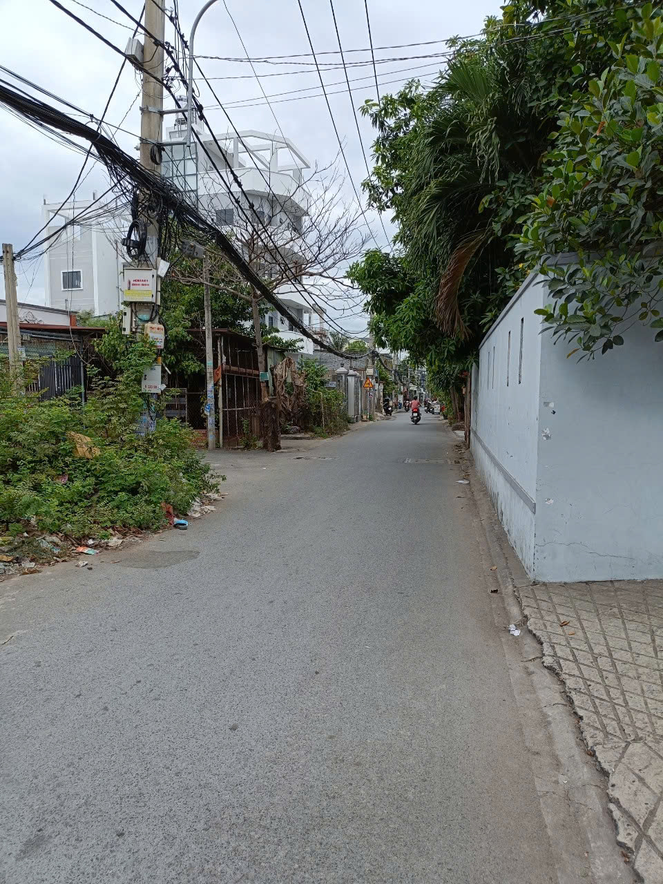 z6517343043789_740861c35d73f0a80a3b3f59c36047c9