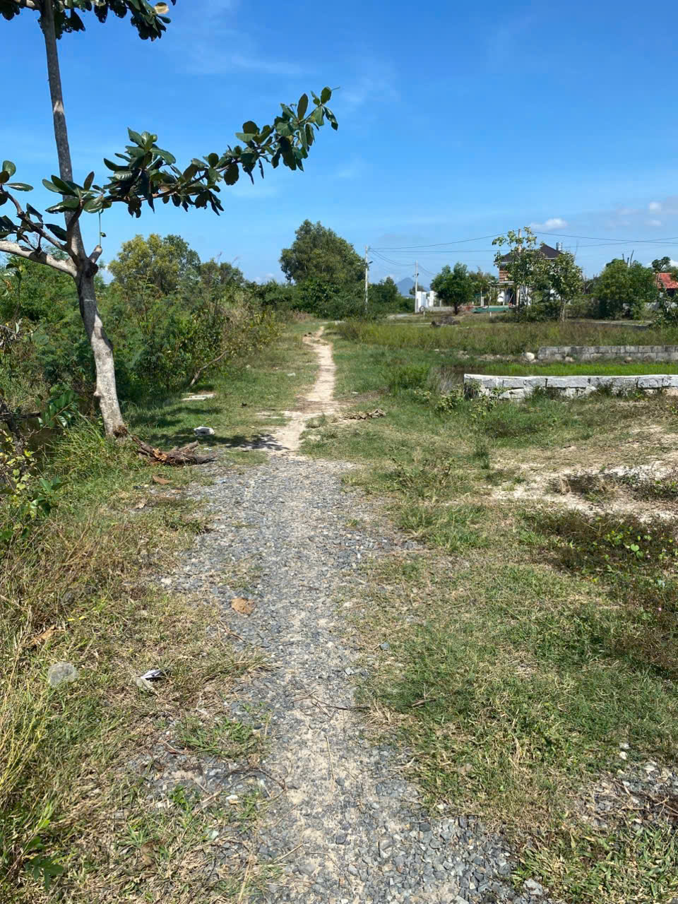 z6579665777231_10b38afce21d5aa2223ad79a6c18fe4e