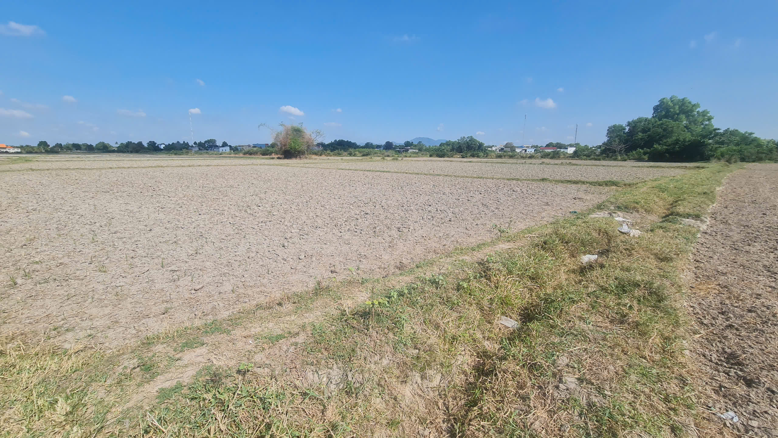 z6579665790689_2e2b70025d8f13f167e2911ef0d6e479