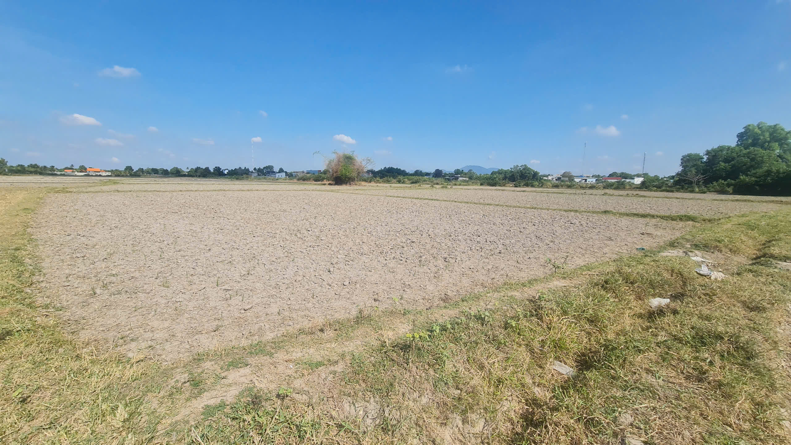 z6579665798424_952251588e4153257f8f69fd2ac850c2