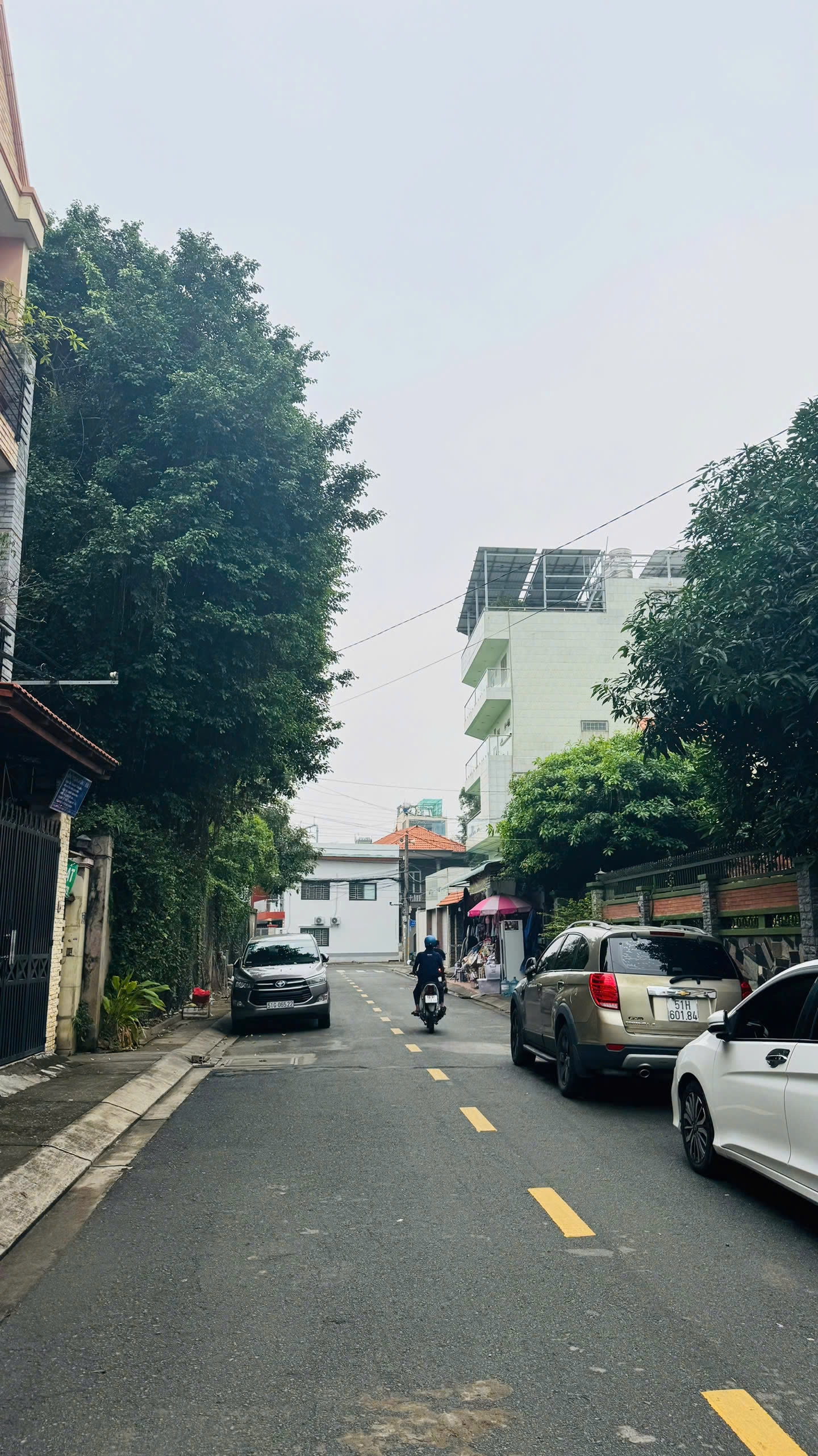 z6885787002228_0bb26e49fff4e494154f7803b3413783