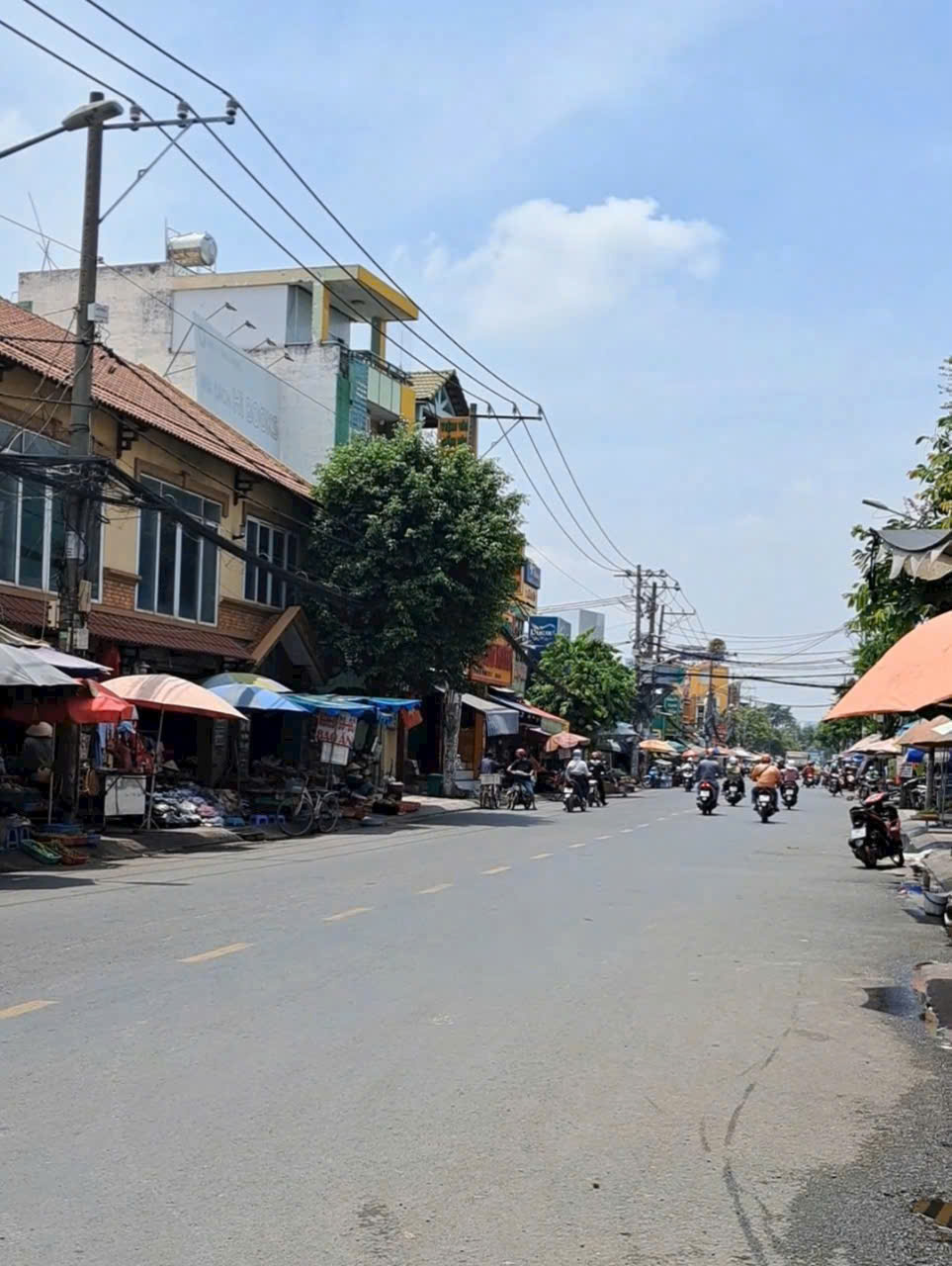 z7003975760331_2b95ab9d878518179c6d5f640d32610c