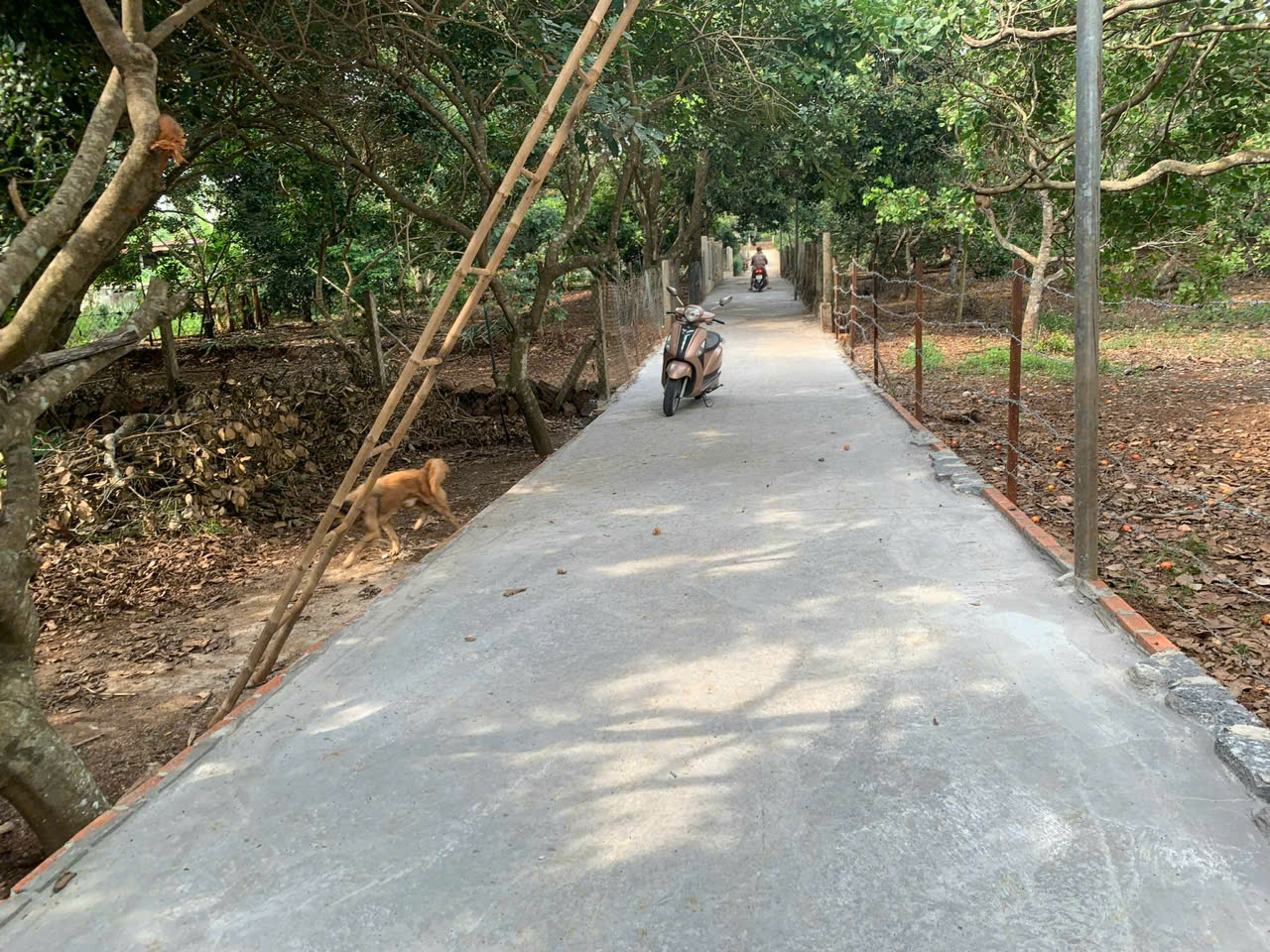 z7005333304518_5f7fe5b47c4686e25b09cb1fe2941a96