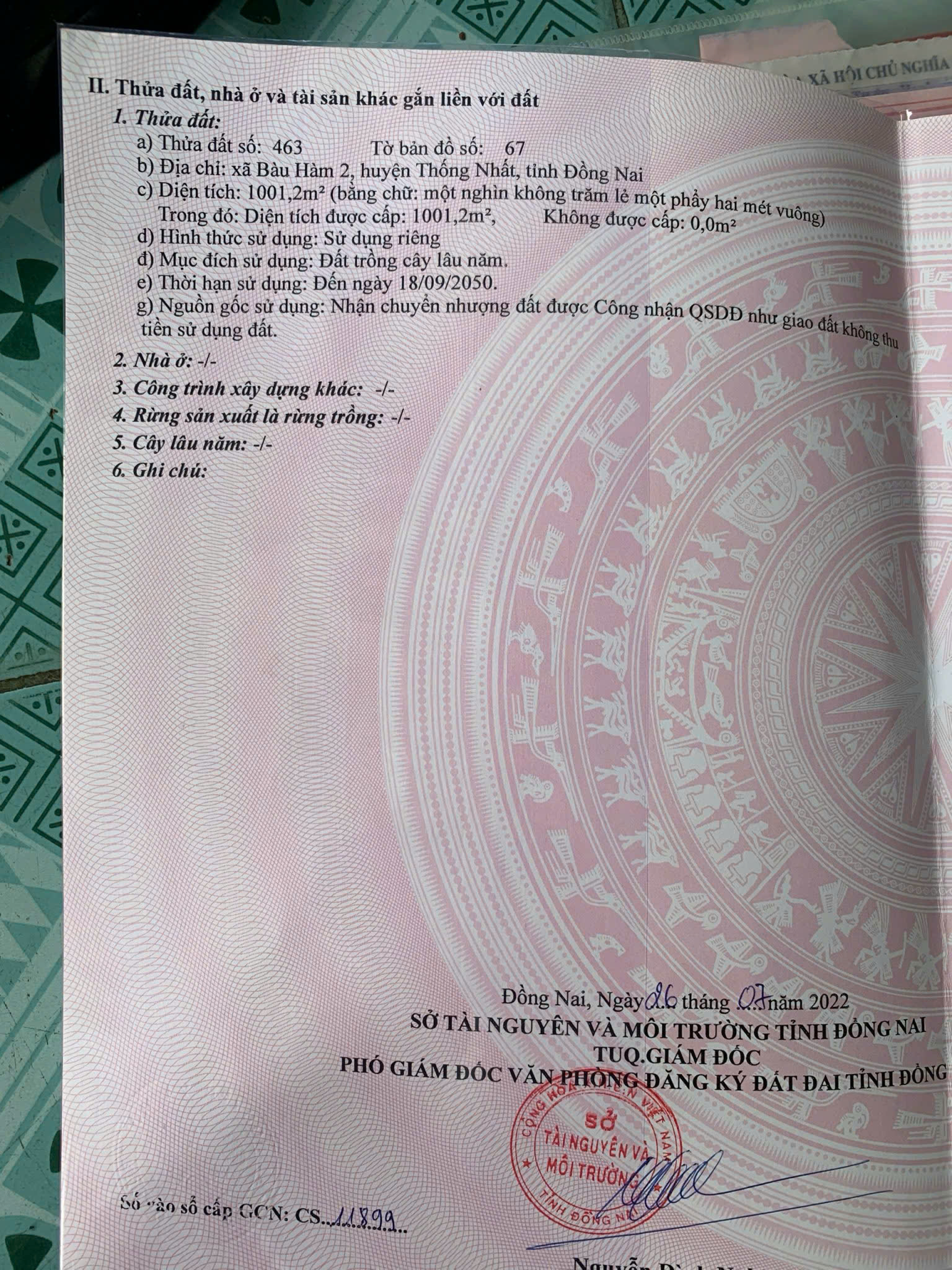 z7005333631485_721d0f0889995c4fe83f16c498a7eec7