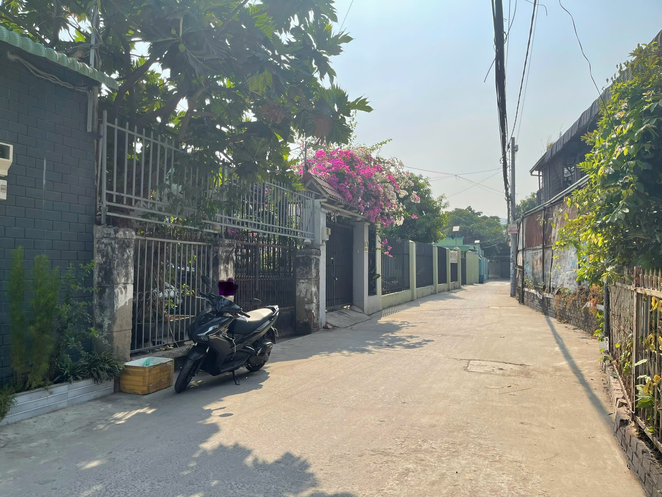 z7047135214217_7347e5b483b00f279834aa76d1a15ca2