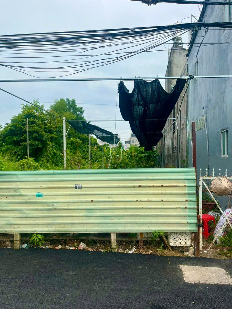 z7124375693901_e25febaabf1999bc255fe91496904d89