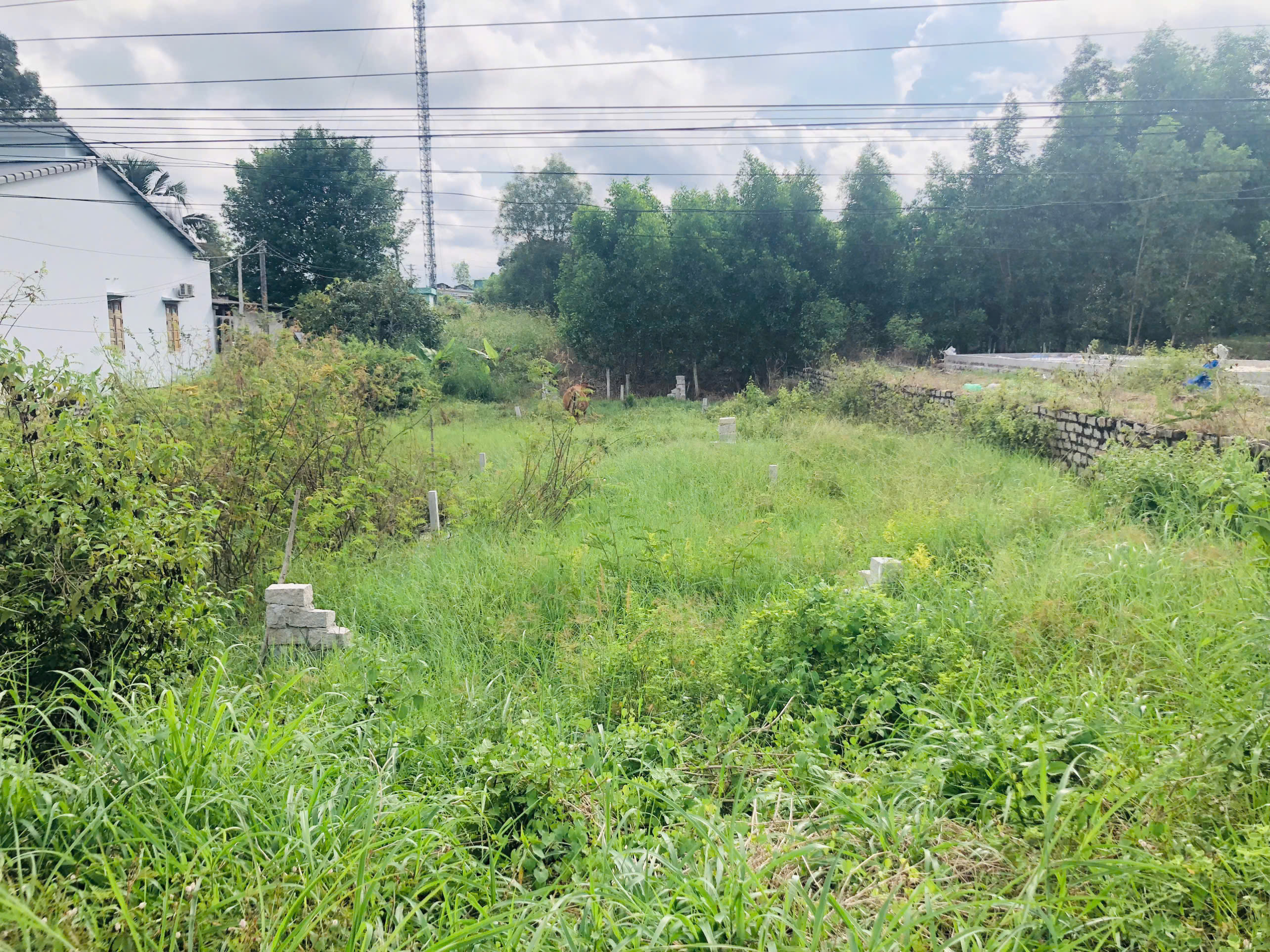 z7144042512629_529e9001c9490da99c43d0b01d0b32f2