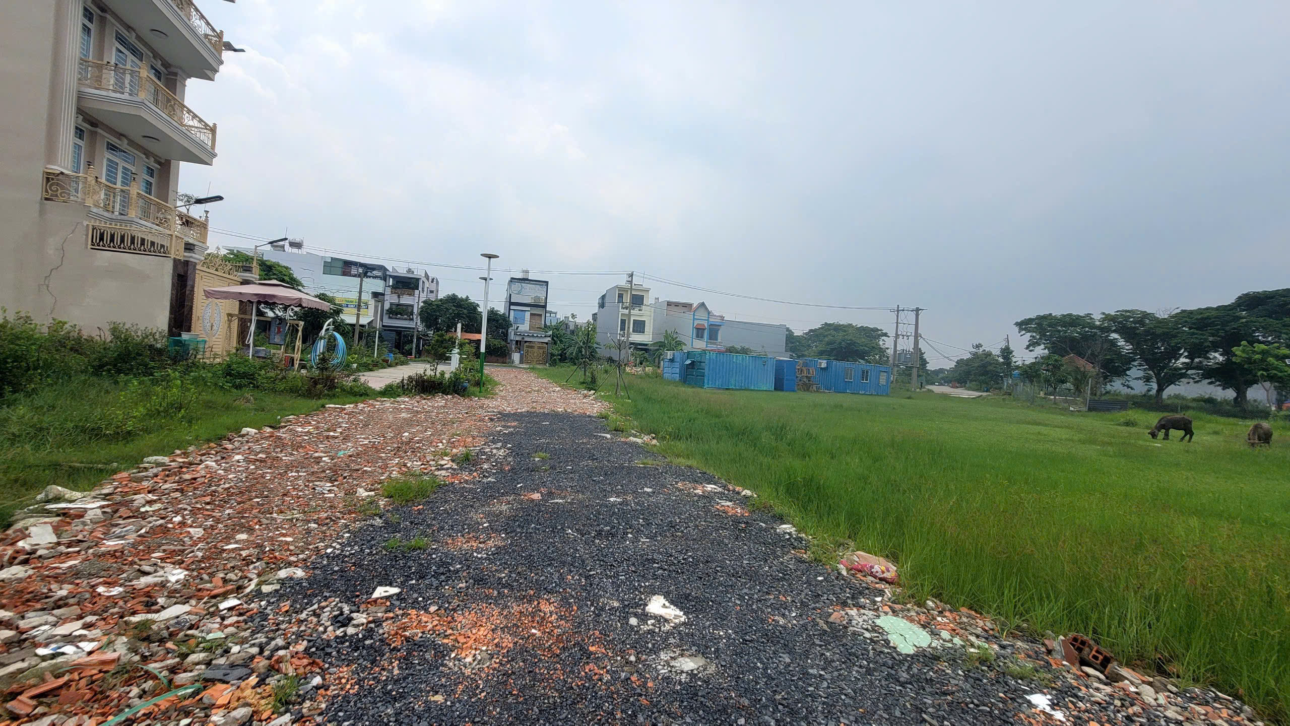 z7182995392005_13f4c79855186ea649152630921e6f66