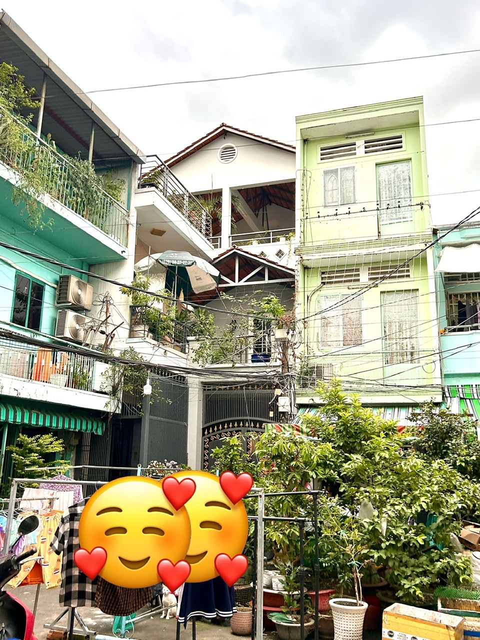 z7242503735617_abac3fa697e5a8f3d37ba8b6cf36aa9a (1)