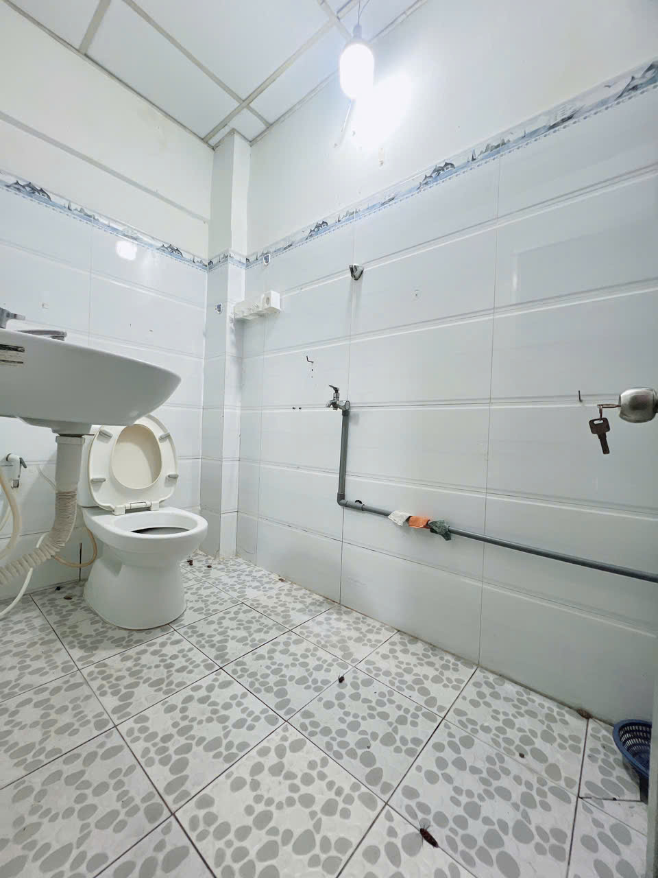 z7273246724785_b65add23bc3638566e2c856a805a0e85