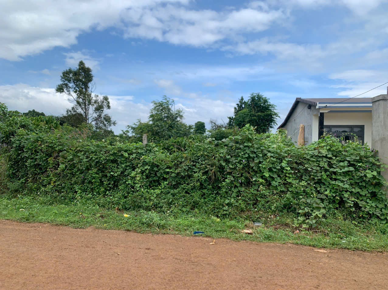 z7279944183279_611c7a321309ac4ae948885087c0b91d