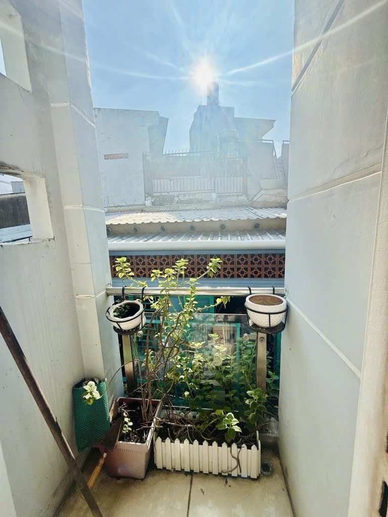 z7284160800054_203d04af9347a323aa076ed426139441