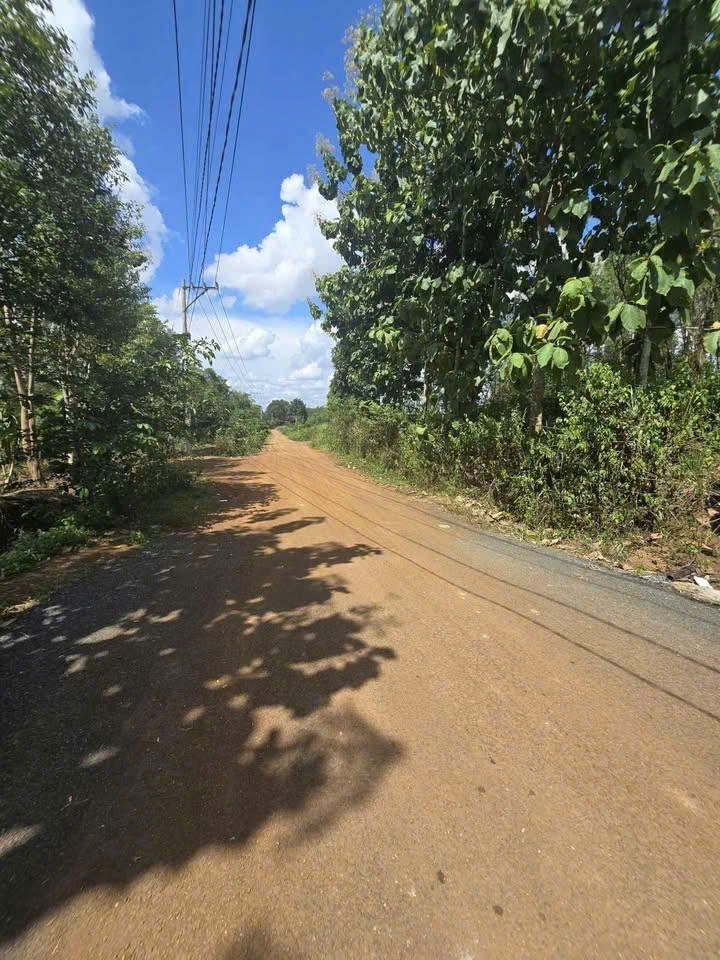 z7284636450292_d7b556d4fbb5fe9c22ac259f3e8a79e5