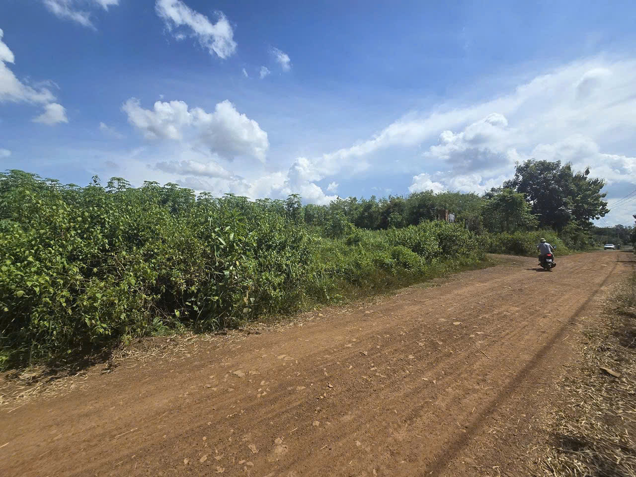 z7284636468426_d60265d1c0941cba76d13692e1282973