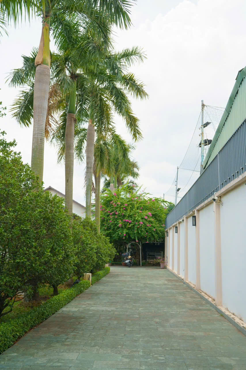 z7293482906243_a41b51086ee943919047d183b873b3fb