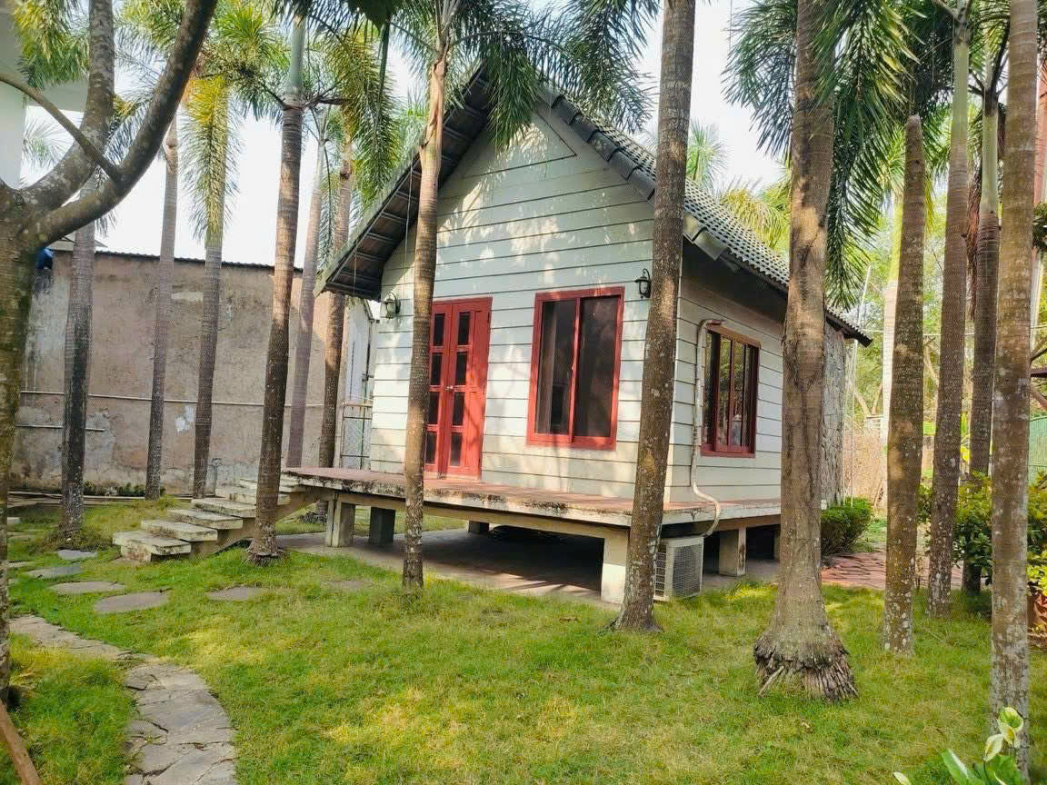 z7293487013633_e8caa6d2e4f1ff8d00b2113f1a31221c