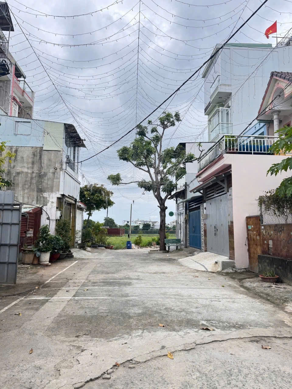 z7293489238625_bfe4098aa3af941a033731541a65881a